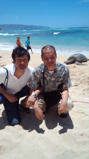 IMG_20130520_ハワイのウミガメ.jpg