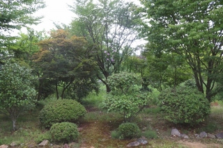 IMG_3(2) (640x427).jpg